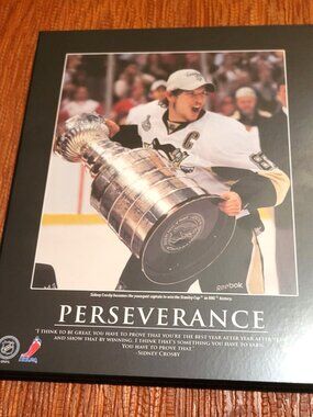 Sidney Crosby Pittsburgh Penguins Frameworth Perseverance Plaque 09 Stanley Cup